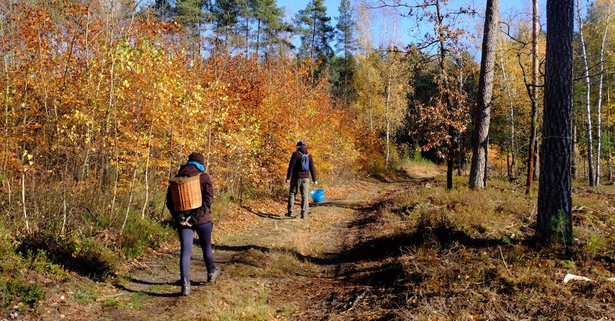 Aktivita venku: jak začít s pravidelným cvičením na čerstvém vzduchu